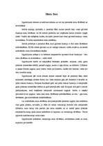 Konspekts 'Matu fēns', 1.