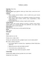 Prezentācija 'Pasākuma scenārijs 2.klasei. Dabas stihijas', 1.