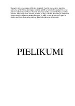 Prezentācija 'Pasākuma scenārijs 2.klasei. Dabas stihijas', 3.