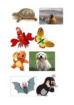 Prezentācija 'Pasākuma scenārijs 2.klasei. Dabas stihijas', 6.