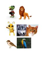 Prezentācija 'Pasākuma scenārijs 2.klasei. Dabas stihijas', 7.