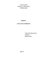 Referāts 'Ozona slāņa noārdīšanās', 1.