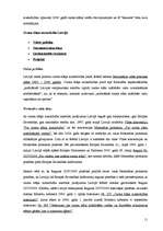 Referāts 'Ozona slāņa noārdīšanās', 11.