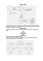 Referāts 'Aprūpes darba vadīšana', 7.