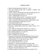 Referāts 'Izglītības problēmas Latvijā', 21.