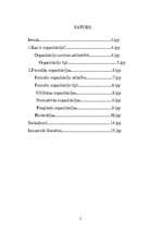 Referāts 'Formālās organizācijas', 2.