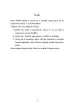 Referāts 'Formālās organizācijas', 3.