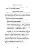 Referāts 'Formālās organizācijas', 4.