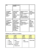 Prakses atskaite 'Aprūpes plāns', 8.