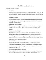 Konspekts 'Konfliktu risināšanas trenings', 5.