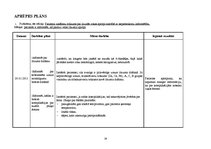 Prakses atskaite 'Traumatoloģijas nodaļas pacienta aprūpes plāns', 28.
