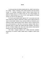 Referāts 'Vadīšanas efektivitātes novērtējums SIA “BLC”', 3.