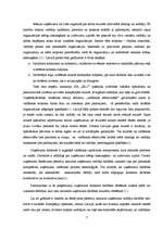 Referāts 'Vadīšanas efektivitātes novērtējums SIA “BLC”', 7.