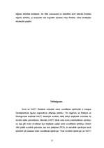 Referāts 'NATO miera uzturēšanas operāciju pieredze Balkānos', 21.