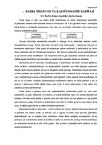 Referāts 'Darba tirgus vispārējs raksturojums Latvijā', 4.