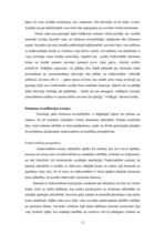 Referāts 'Dzimumu sociālā nevienlīdzība', 13.
