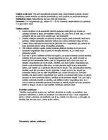 Konspekts 'Stafete 9.klases sporta ieskaitei', 2.