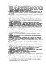 Konspekts 'Filosofijas termini', 2.