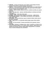 Konspekts 'Filosofijas termini', 3.