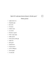 Konspekts 'Epiteti Maijas Laukmanes dzejoļu krājumā "Nošalko gaiss"', 5.