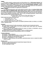 Konspekts 'Rafaello Santi', 2.