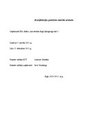 Prakses atskaite 'Prakses atskaite uzņēmumā "LIDO"', 1.