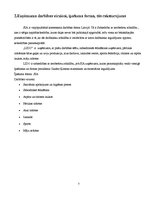 Prakses atskaite 'Prakses atskaite uzņēmumā "LIDO"', 7.