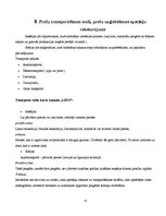Prakses atskaite 'Prakses atskaite uzņēmumā "LIDO"', 18.
