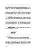 Referāts 'Valūtas konvertācija', 3.