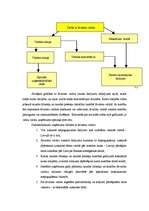 Referāts 'Valūtas konvertācija', 7.