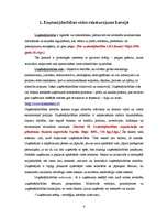 Referāts 'Uzņēmējdarbības vide Valmierā, tās raksturojums un pasākumi vides uzlabošanā', 5.