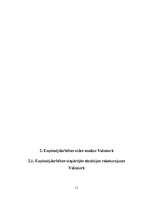 Referāts 'Uzņēmējdarbības vide Valmierā, tās raksturojums un pasākumi vides uzlabošanā', 12.