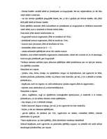 Referāts 'Basketbola noteikumu vēsturiskās izmaiņas, to ietkme uz spēles rezultātu', 7.