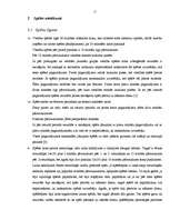 Referāts 'Basketbola noteikumu vēsturiskās izmaiņas, to ietkme uz spēles rezultātu', 11.