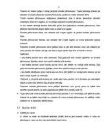 Referāts 'Basketbola noteikumu vēsturiskās izmaiņas, to ietkme uz spēles rezultātu', 17.