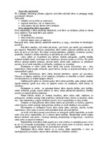 Konspekts 'Termina skaidrojums - rotaļdarbība', 2.