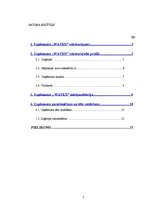 Referāts 'Ūdens attīrīšanas iekārtu uzņēmuma pozicionēšanas apskats', 2.