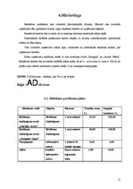 Biznesa plāns 'Reklāma pašnodarbinātajiem', 10.