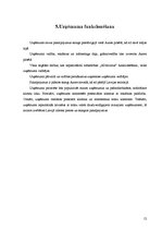 Biznesa plāns 'Reklāma pašnodarbinātajiem', 12.