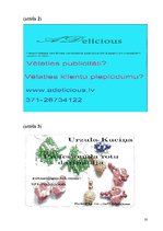 Biznesa plāns 'Reklāma pašnodarbinātajiem', 20.