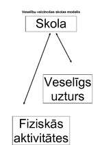 Konspekts 'Veselību veicinošas skolas modelis', 3.