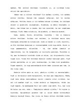 Referāts 'Dzīves vērtības Antona Hanzena-Tamsāres romānā "Zeme un Mīlestība"', 11.