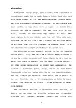 Referāts 'Dzīves vērtības Antona Hanzena-Tamsāres romānā "Zeme un Mīlestība"', 18.