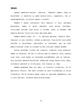 Referāts 'Dzīves vērtības Antona Hanzena-Tamsāres romānā "Zeme un Mīlestība"', 22.