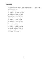 Referāts 'Dzīves vērtības Antona Hanzena-Tamsāres romānā "Zeme un Mīlestība"', 25.