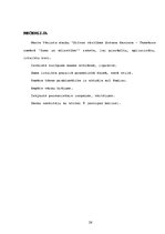 Referāts 'Dzīves vērtības Antona Hanzena-Tamsāres romānā "Zeme un Mīlestība"', 26.