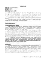 Referāts 'Japāna', 6.