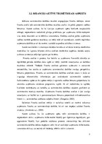 Referāts 'Studiju projekts - aktīvu analīze', 5.