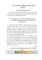 Referāts 'Studiju projekts - aktīvu analīze', 23.