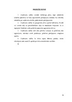 Referāts 'Studiju projekts - aktīvu analīze', 36.